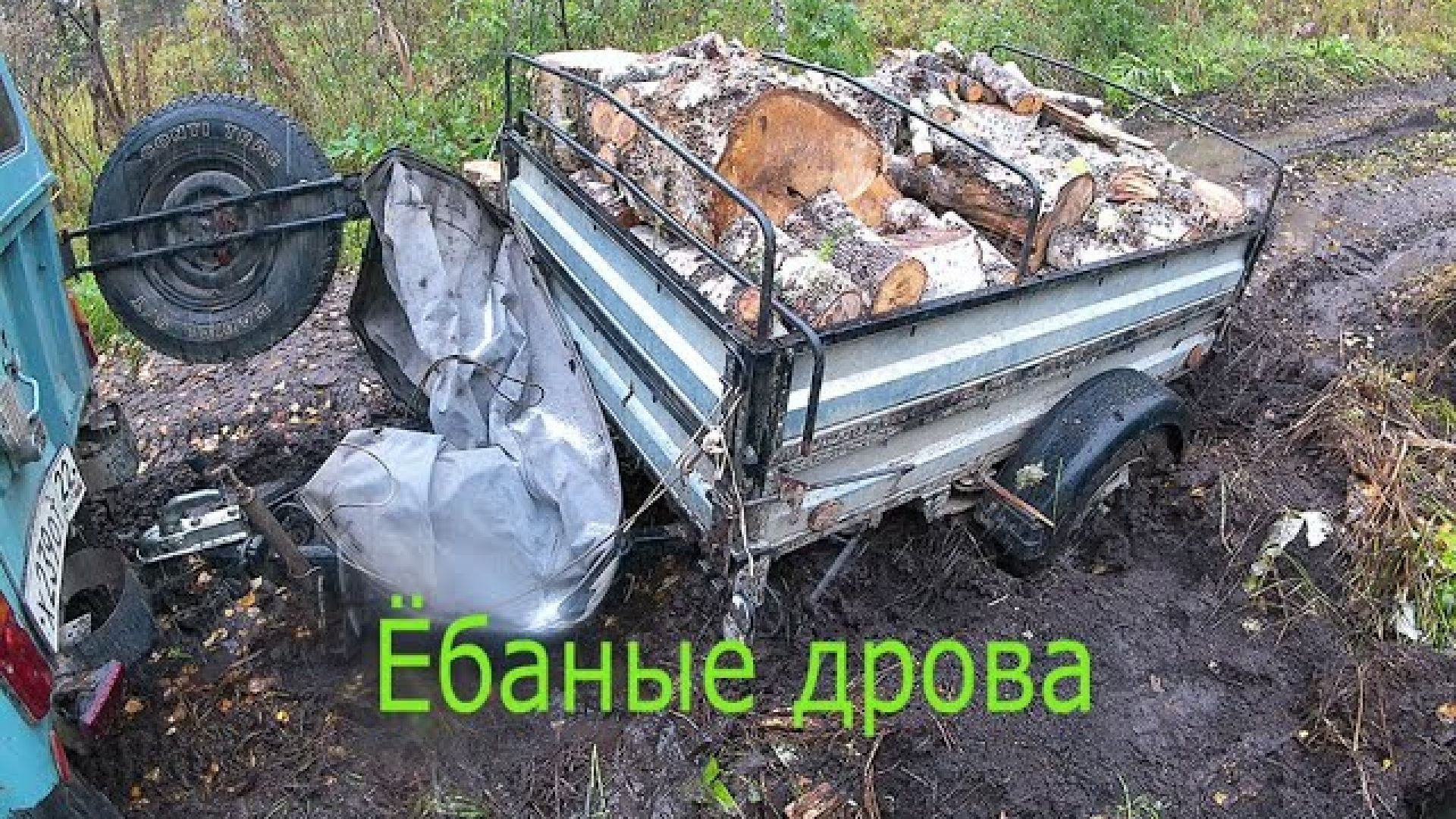 Откуда дровишки...