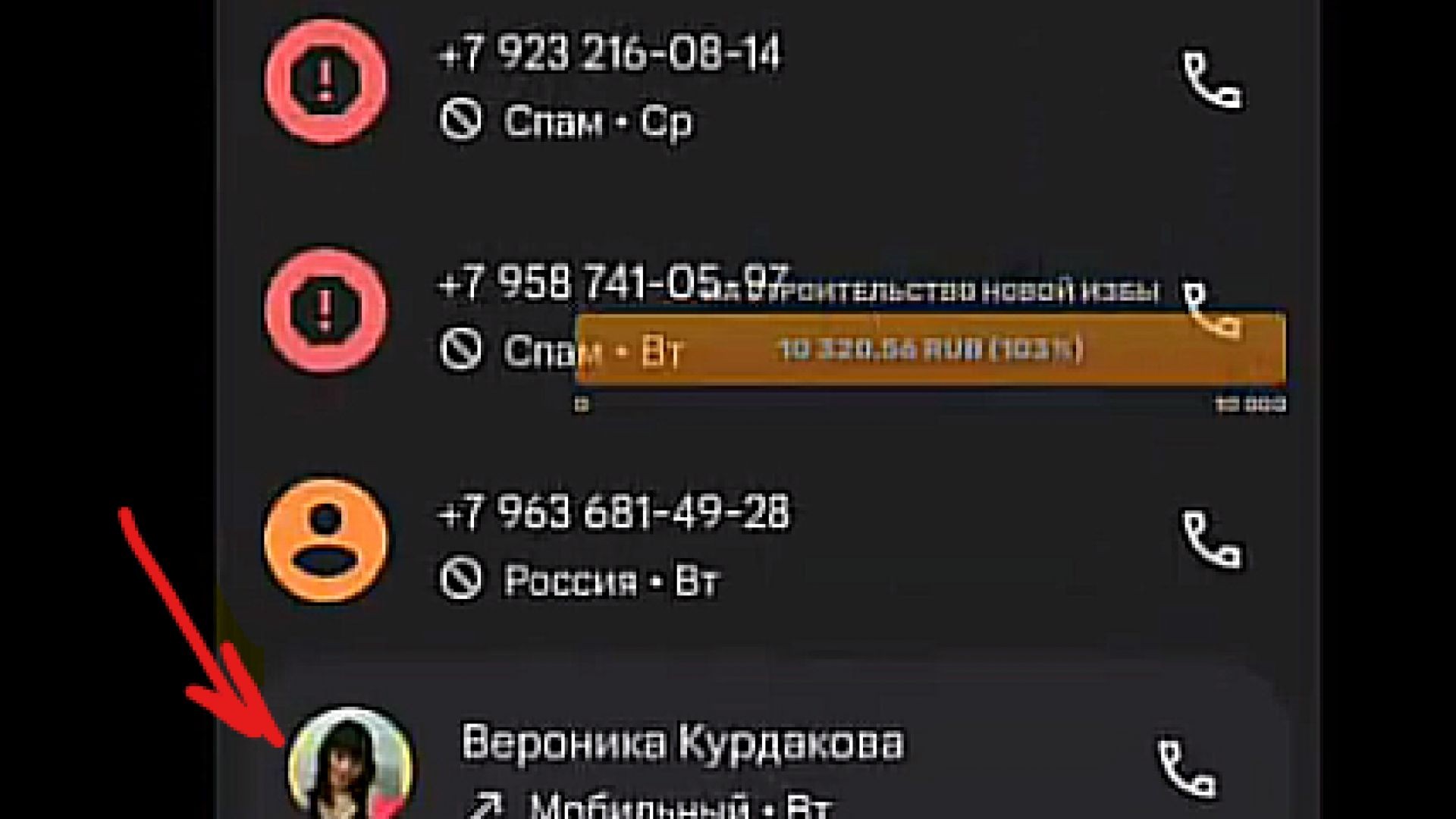 СИБИРСКИЙ БРОДЯГА РАЗГОВОР С ВЕРОНИКОЙ #сибирскийбродяга