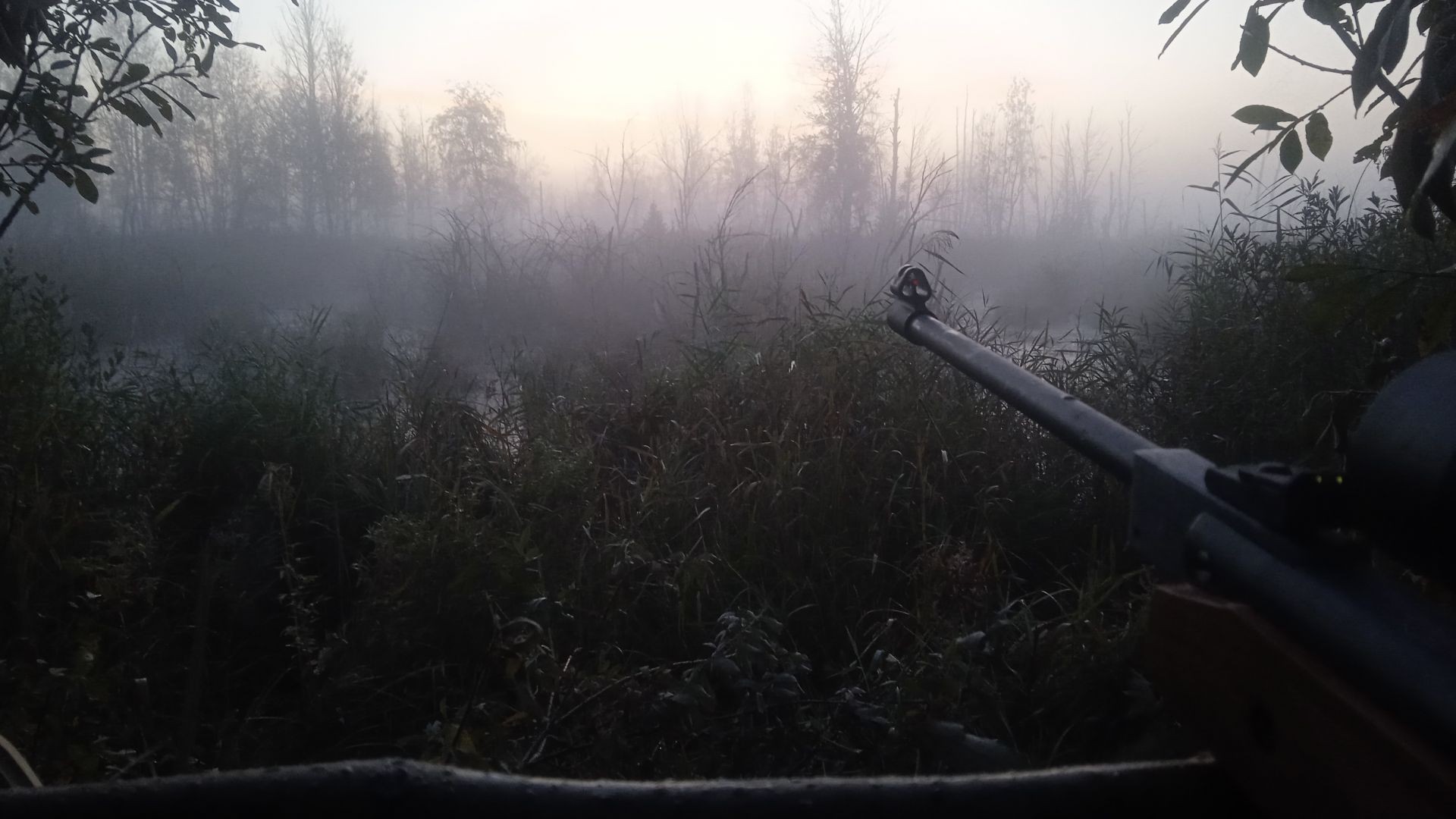 На болоте на уток