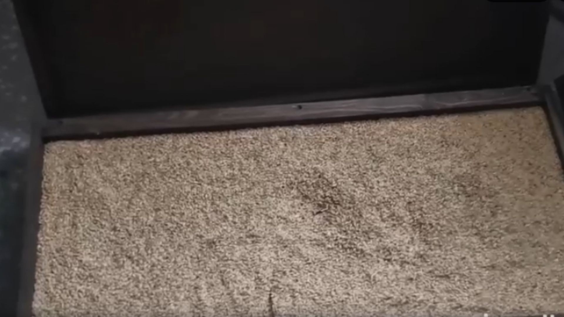 Сушка солода в Инфракрасной сушилке,быстро,бережно,эффективно