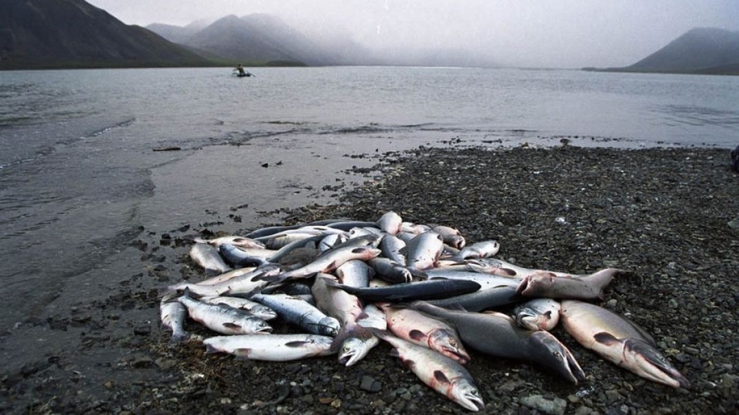 🐟 Ольская рыбалка