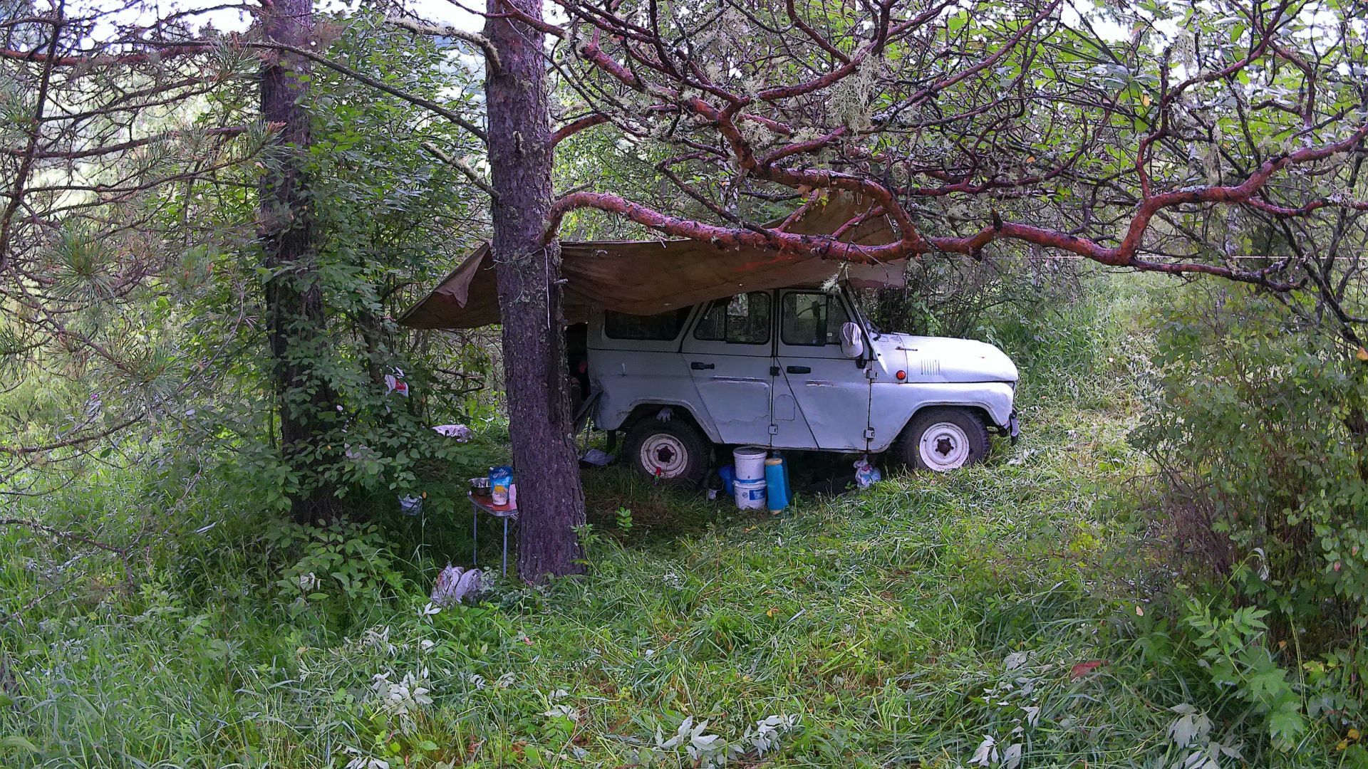 Золото где то рядом...