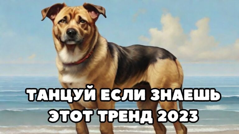 клипы 2023 русские