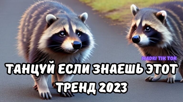 клипы 2023 русские