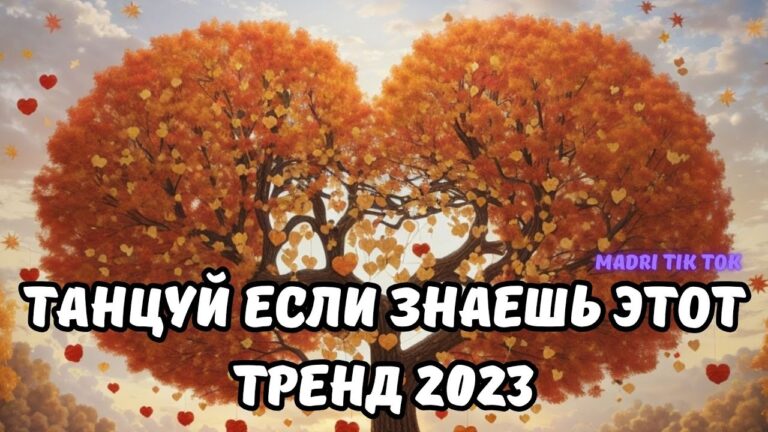 клипы 2023