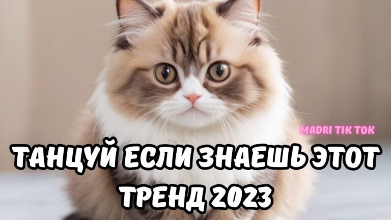 клипы 2023