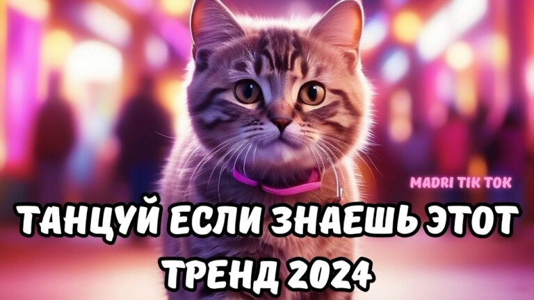 клипы 2023