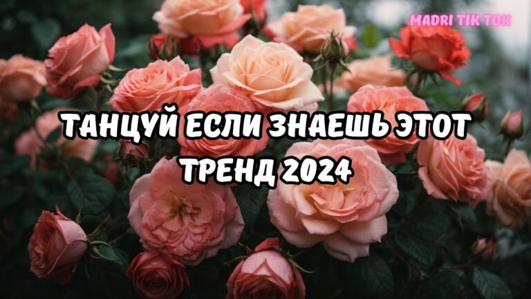 клипы 2023