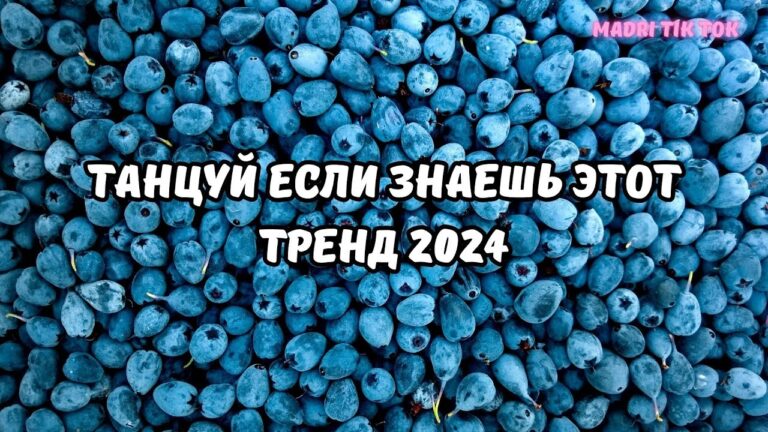 клипы 2023