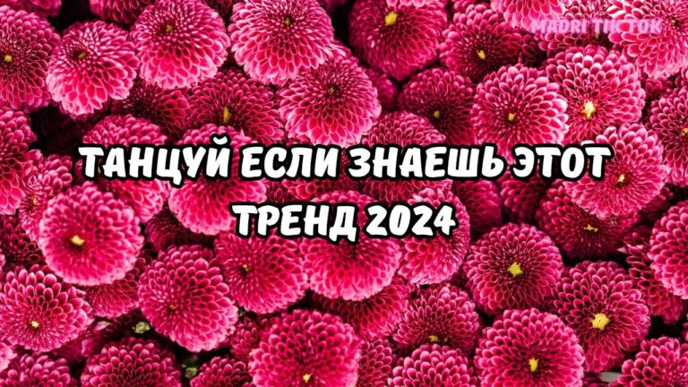 клипы 2023