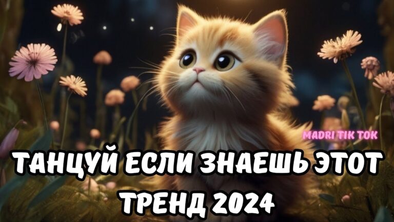 клипы 2023