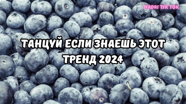 клипы 2023