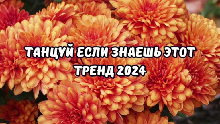 клипы 2023