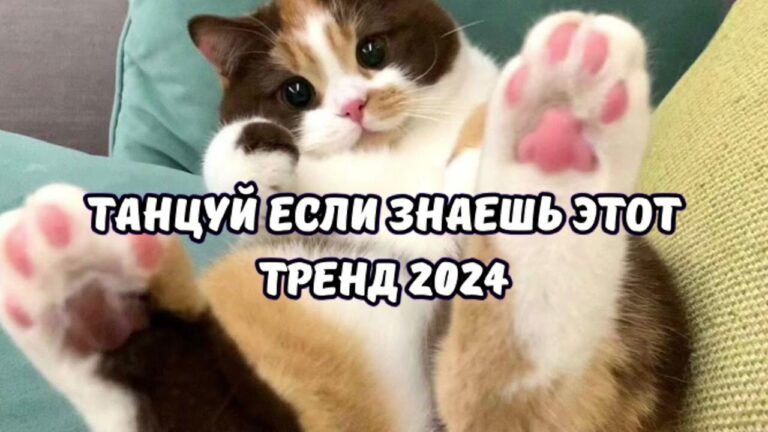 клипы 2023