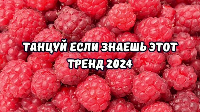 клипы 2023