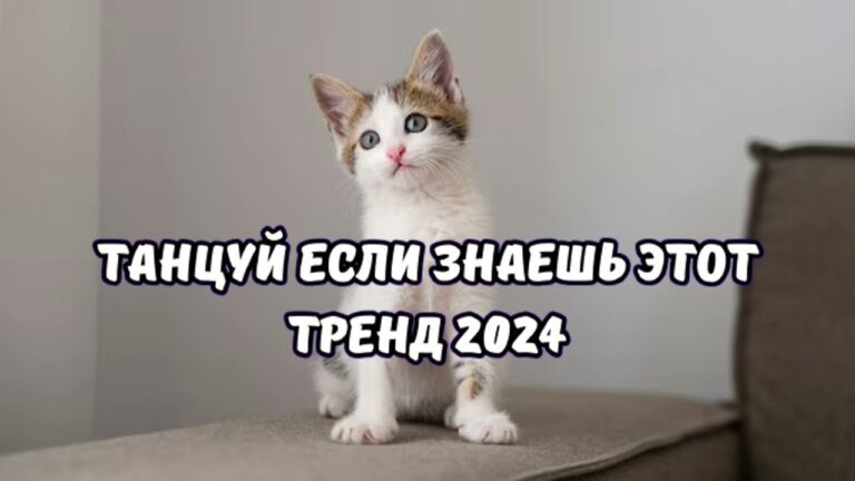 клипы 2023