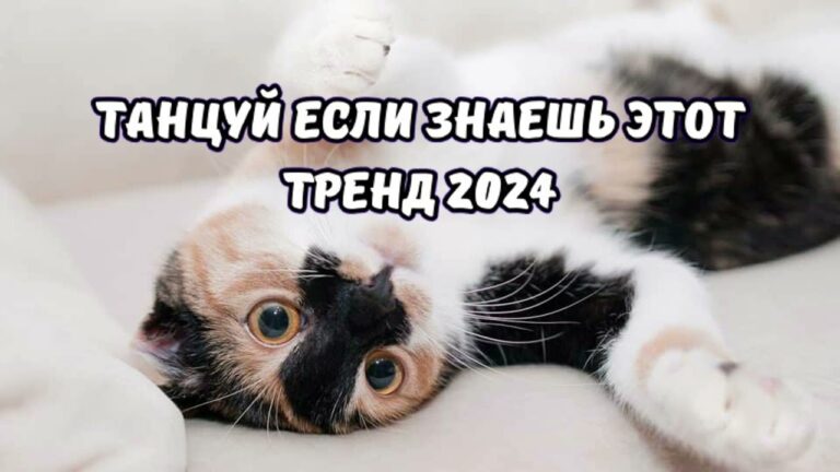 клипы 2023