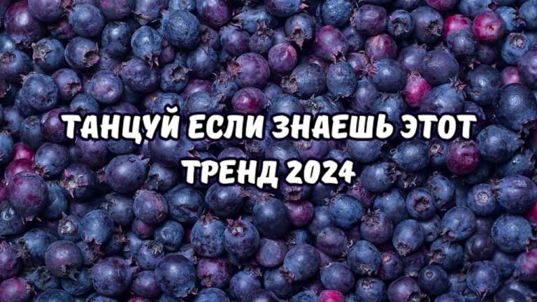 клипы 2023