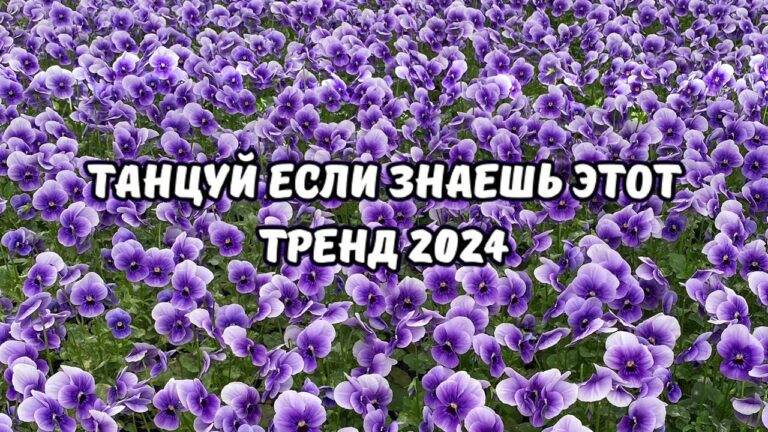 клипы 2023