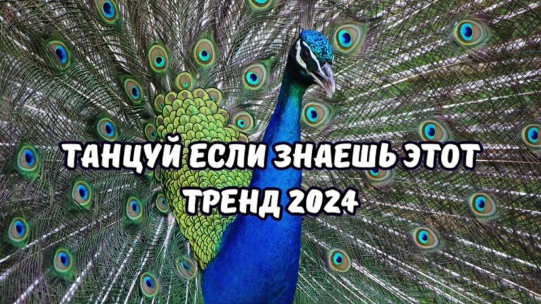 клипы 2023