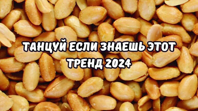 клипы 2023